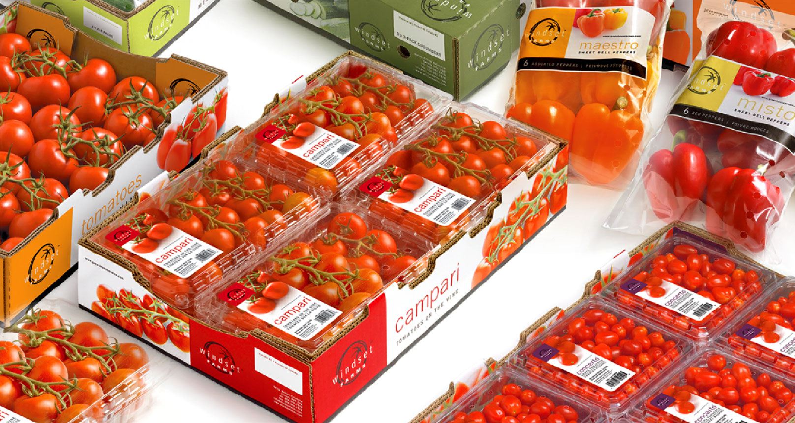 windset tomatoes
