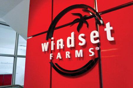 Windset logo sign